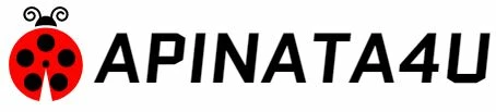APINATA4U Store