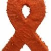 APINATA4U Childrens Awareness Symbol Pinata