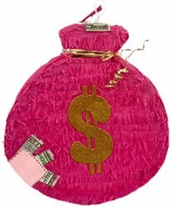 APINATA4U Pink Money Bag Theme Pinata