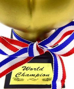 APINATA4U Adult Pinatas Winner Award In Golden Boobs Style