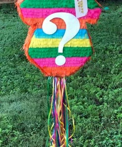 APINATA4U Fiesta Themed Gender Reveal Onesie Pinata Gender Reveal Pinata NiÃ±o NiÃ±a Muchacho Muchacha Gender Reveal Baby Shower