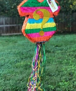 APINATA4U Fiesta Themed Gender Reveal Onesie Pinata Gender Reveal Pinata NiÃ±o NiÃ±a Muchacho Muchacha Gender Reveal Baby Shower